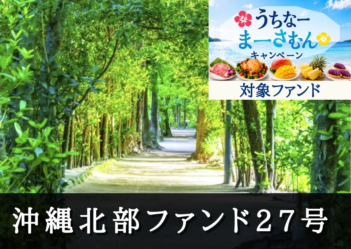 PocketFunding's tweet photo. 「うちなーまーさむんキャンペーン2026（https://t.co/DHg32ZilCA）」対象ファンド募集予告！！  沖縄北部ファンド２７号（二次募集）【一部不動産担保付】募集金額 2,501万円、目標利回り5.8％✨ 6/16_12:30より募集開始！募集終了日 6/29_2:00まで！  https://t.co/vWev2hay4u #PocketFunding #ソーシャルレンディング #投資 #沖縄 #クラウドファンディング