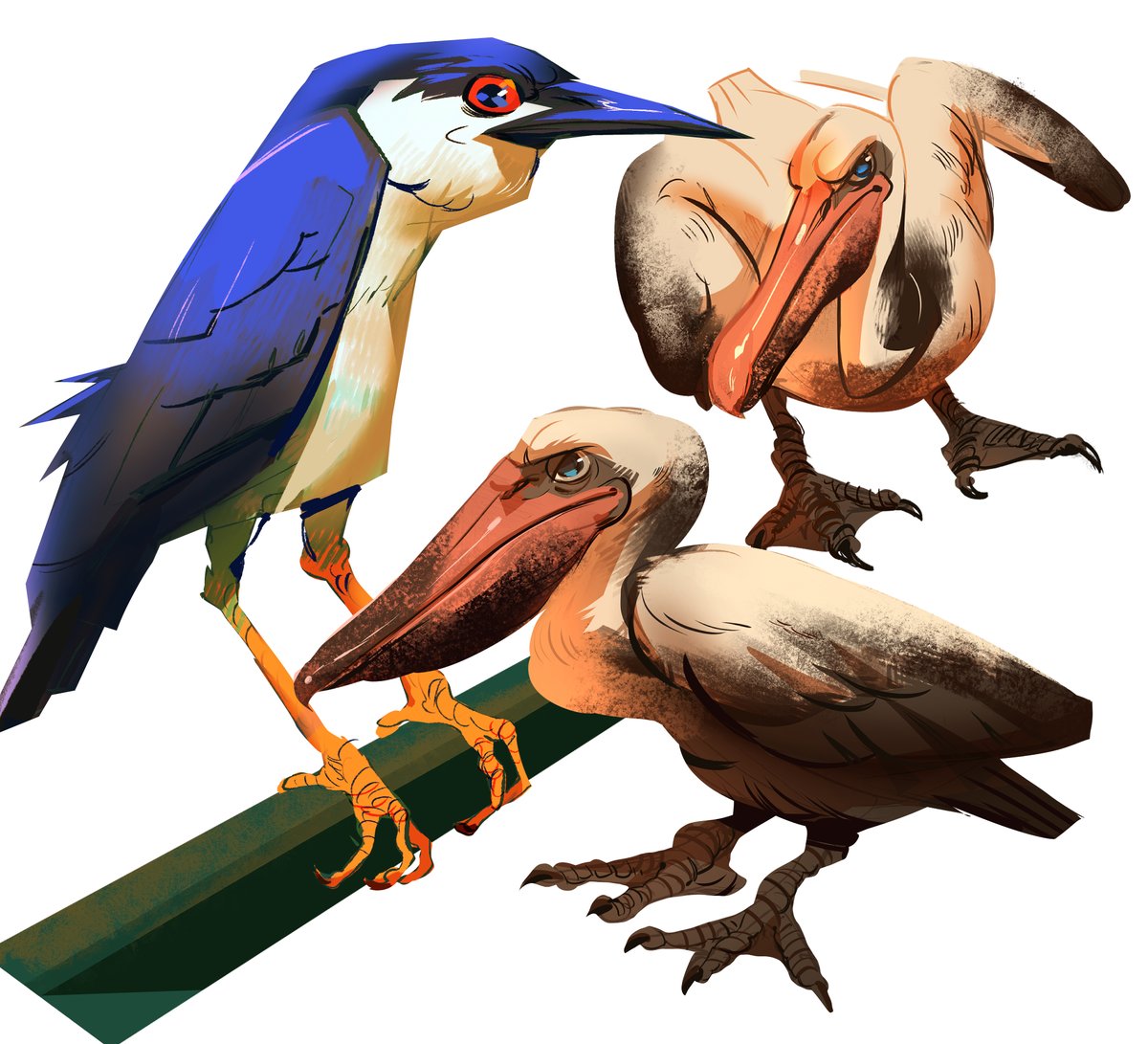 lyohgabriel's tweet photo. Hace unos dias en el puerto encontre estos pelicanos, tenia una ganas de dibujarles.
#illustration‌‌ #aves #artsㅤㅤㅤㅤ https://t.co/QakHYLkV5c