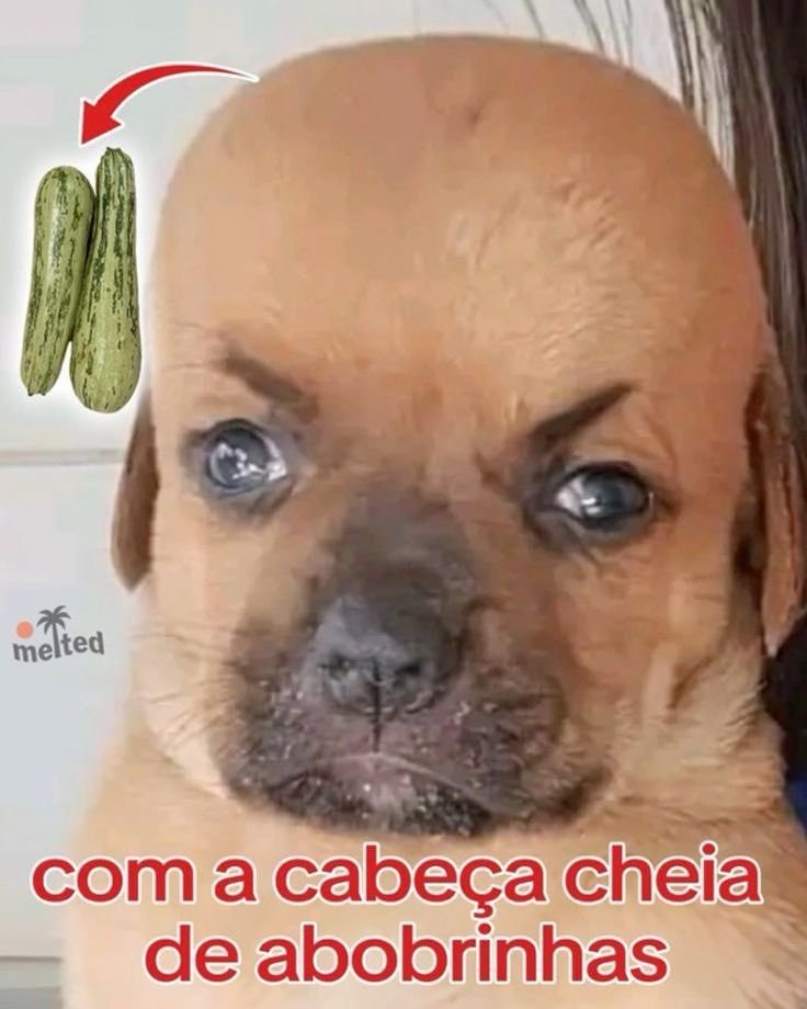 caamessias's tweet photo. com uma leve sensação de que tudo que eu to fazendo ta errado https://t.co/KSj9cOJt26