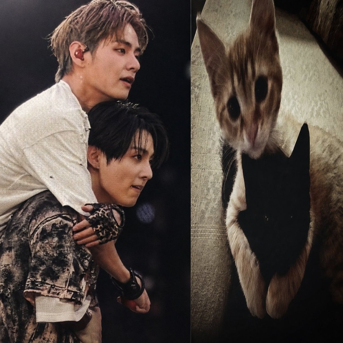 Jkthvva's tweet photo. THIS TAEKOOK PIC> https://t.co/nXE7NW46a2
