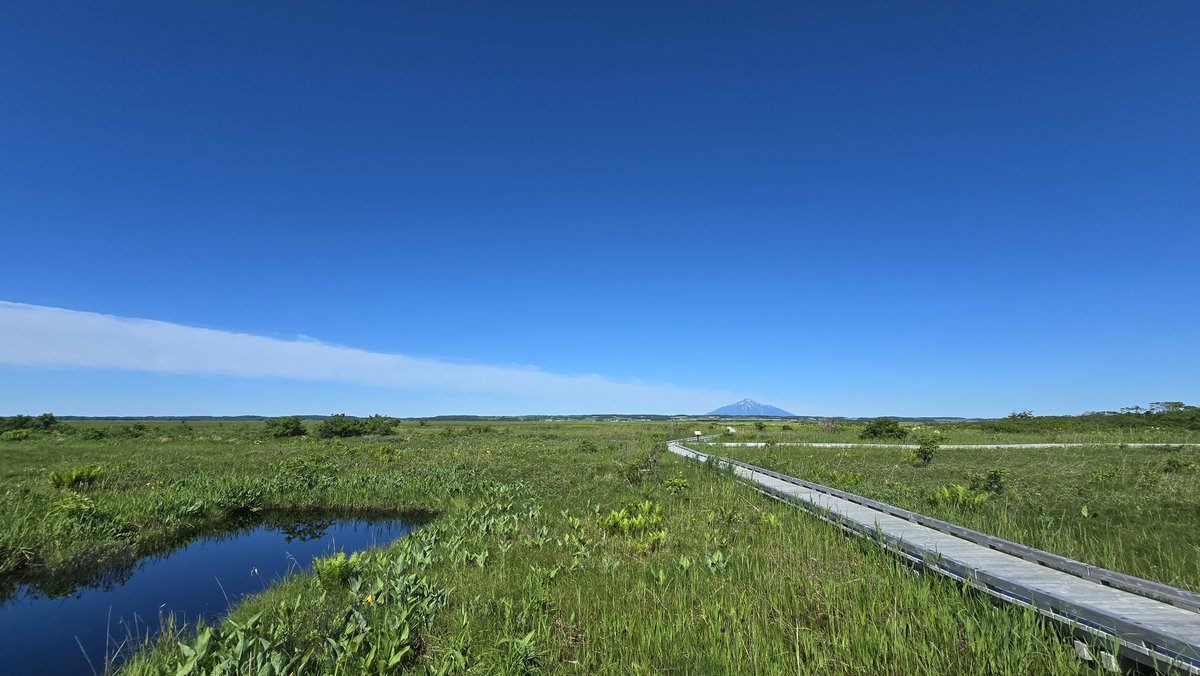 saroeco's tweet photo. おはようございます
今朝の湿原センター周辺の天気は晴れ、気温は19℃です。

気温が高く、風がないので暑さを感じます。
日焼け、熱中症には十分注意してお楽しみください！

みなさまのご来館をお待ちしております。
#北海道 #豊富町 #サロベツ原野 #サロベツ湿原
#利尻礼文サロベツ国立公園 https://t.co/hJidY9yMrx