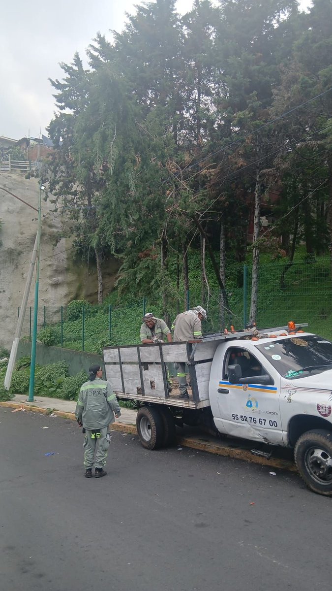 LopezCasarinJ's tweet photo. #ReporteÁOtendido | 🌳Para proteger la seguridad de nuestra comunidad, realizamos el retiro de un árbol con riesgo de colapso ubicado en la colonia Carlos A. Madrazo, previniendo posibles incidentes y manteniendo espacios más seguros para niñas, niños y familias.

#CasarínAlcalde
#TodoEsPosible