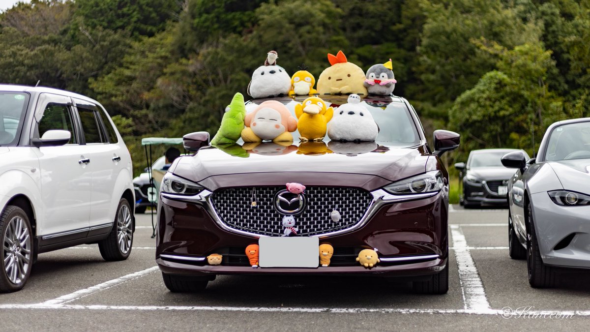 kanecom2's tweet photo. オフ会でぬいぐるみ飾るのおもろい笑
みんな何やかんや持ってるのがおもろい笑 https://t.co/MR6wVhQwuv