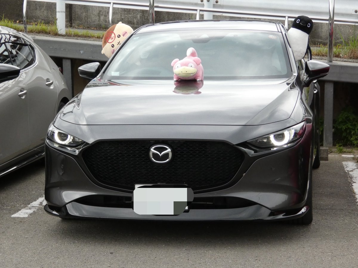 kanecom2's tweet photo. オフ会でぬいぐるみ飾るのおもろい笑
みんな何やかんや持ってるのがおもろい笑 https://t.co/MR6wVhQwuv