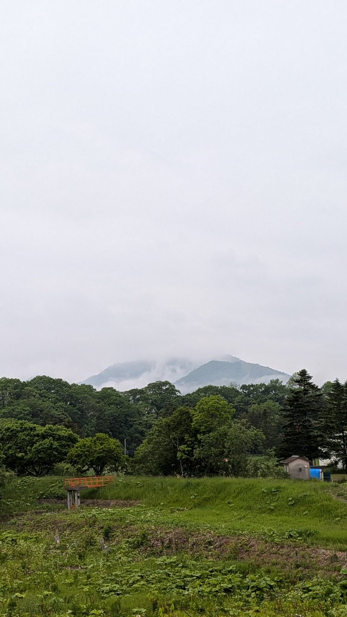 tktt's tweet photo. 涙雨。 https://t.co/R9D7IZ5KXn
