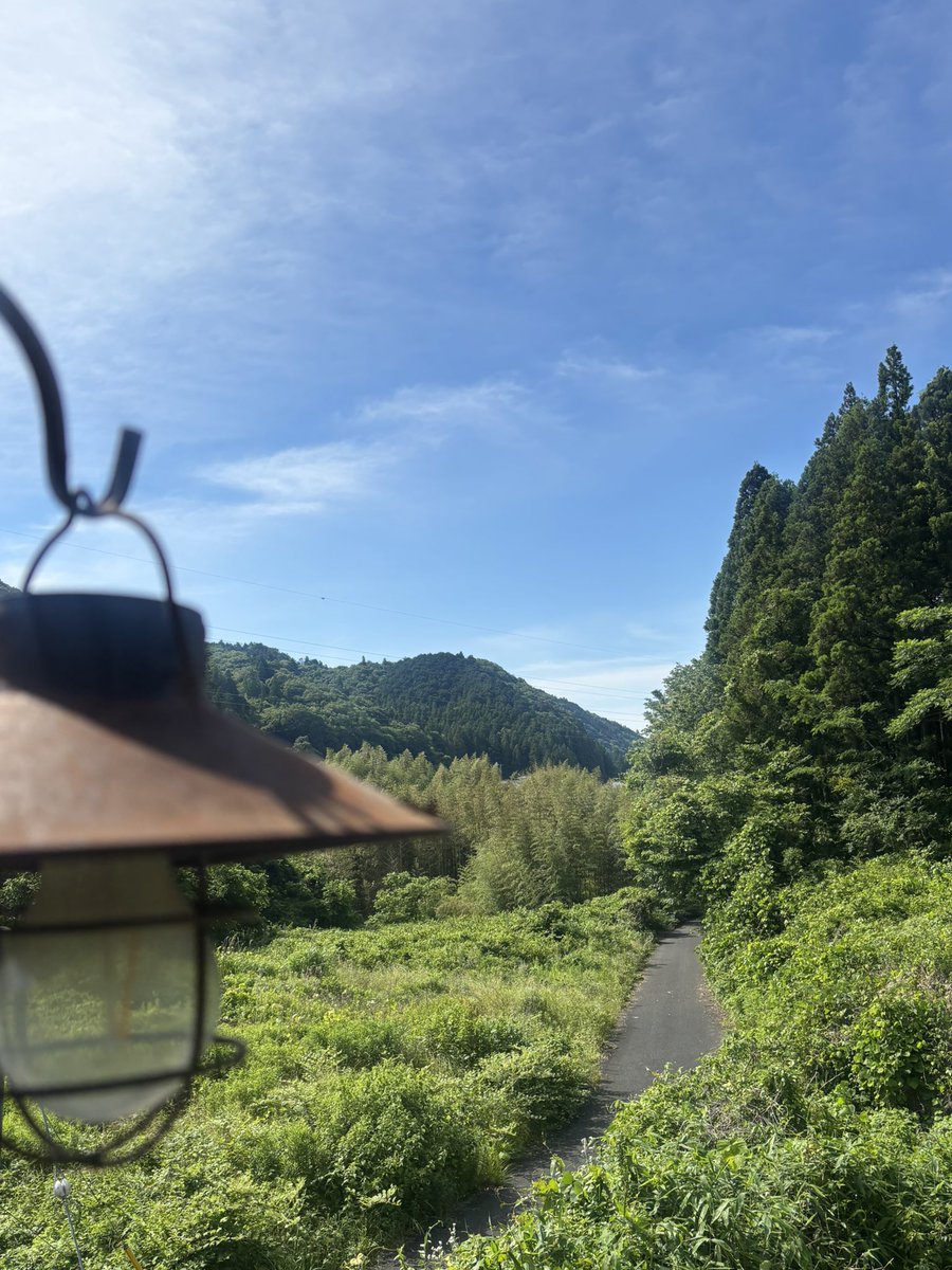 guragurabear's tweet photo. おはぐらーヽ(≧▽≦)ﾉ
青空復活しましたね☀️
庭の緑たちにもサンサンと太陽の光が降り注いで綺麗でした✨
今日は気温が上がってくるみたいなので、暑さ対策をしっかりして頑張りましょう♪
素敵な一日を*ଘ(੭*ˊᵕˋ)੭* ੈ✩‧₊˚
#多肉植物 #朝の挨拶 https://t.co/vg7ibTPdwv