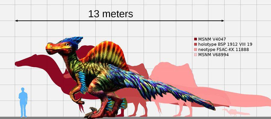 JurassicCompSC's tweet photo. @JessGabrie3495 @YMelcus At 14 feet tall, it would be larger than its ancestor https://t.co/wXhxkDkqIn