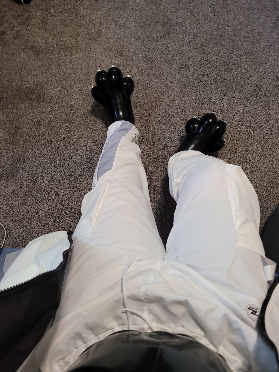 Tehkey2's tweet photo. Happy international day of latex!! #latex #paws https://t.co/8kDtKqBsJr