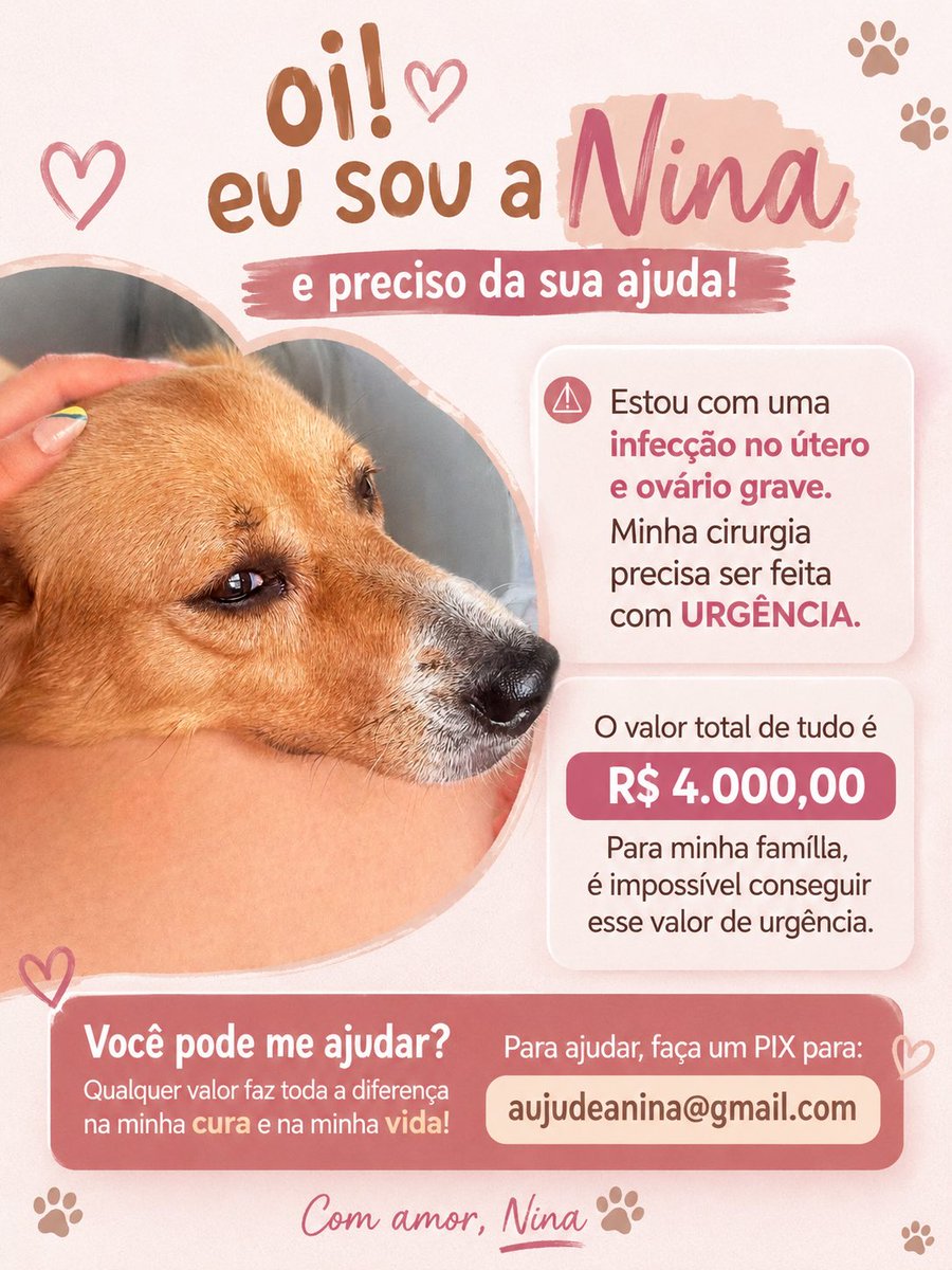 vycsociart's tweet photo. Oi gente, essa é a Ninoca. E ela tem 5 aninhos e é o amor da minha vida, não gosto de pedir nada nas redes sociais, mas não vejo outra opção, tudo aconteceu rápido e infelizmente não tenho o valor necessário pra tudo. Não quero perdê-la, por isso tô fazendo esse apelo aqui. 🥺🩷 https://t.co/cnshUmlXFR