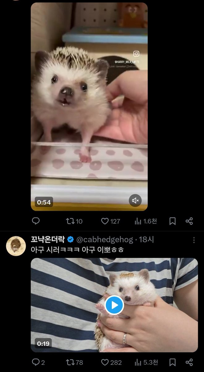 나삐 tweet media
