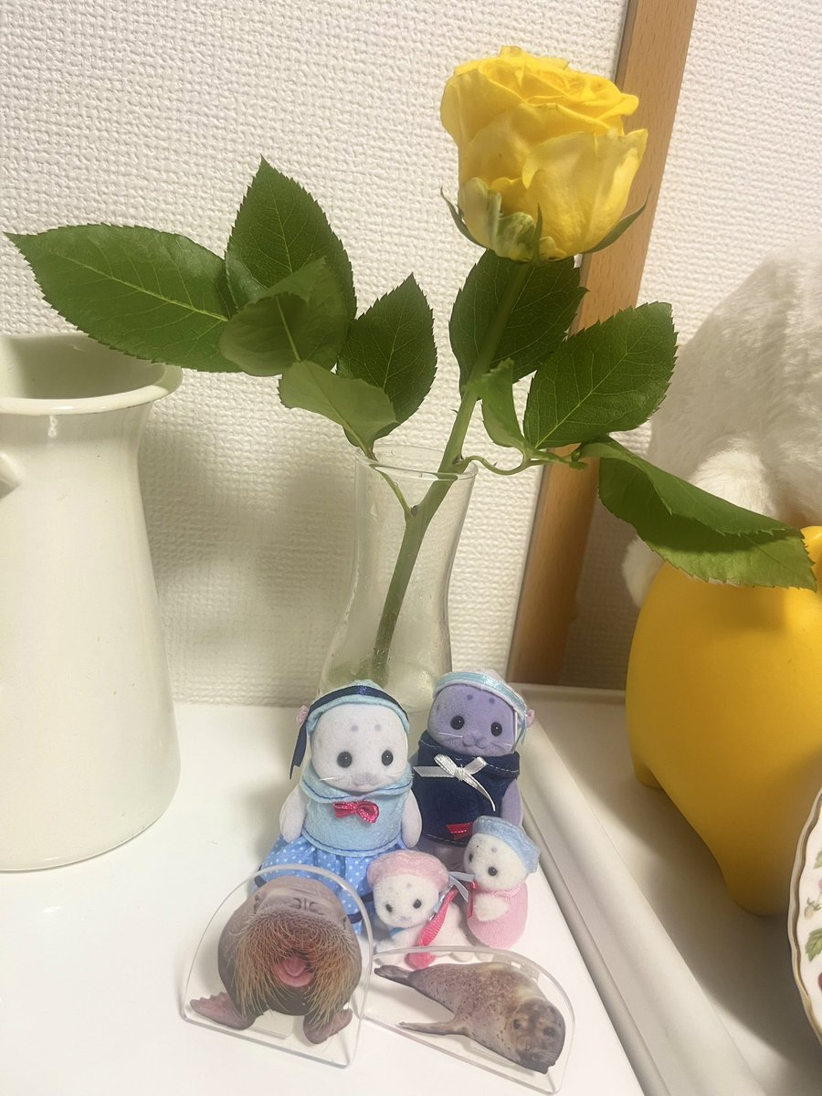 shiotan0612's tweet photo. おはようございます🌼✨

久しぶりに #しお定食📻も更新しました✌️
▶︎ https://t.co/9tZoU7jRM2
「しおたんのおしゃべり定食」
是非チェックしてね‼️

本日はライブです🎤
waiwaihall神保町さんにて #おかわい🏠
予約▶︎ https://t.co/3dGv7A95lG
配信▶︎ https://t.co/pr1DdD5l6T
楽しみだっ🦒💛 https://t.co/B6G3F5CWJL
