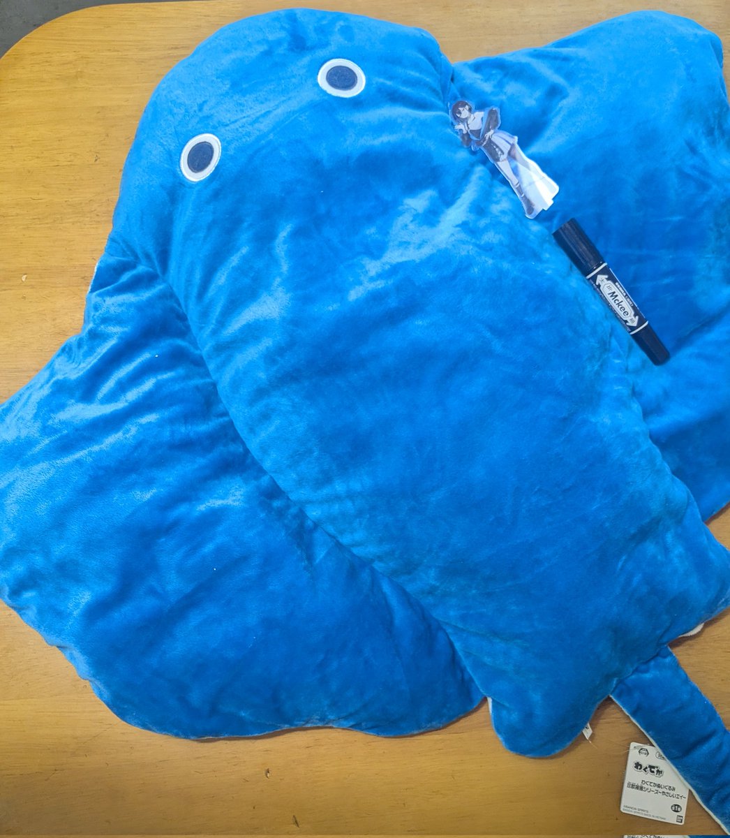 extltiger's tweet photo. 散策中に見かけてお迎え
エイを店舗で見かける事なかなかないですね。

ただ、全長1ｍ近くある

#ゆうばりシェア https://t.co/8GPxaiJd3n