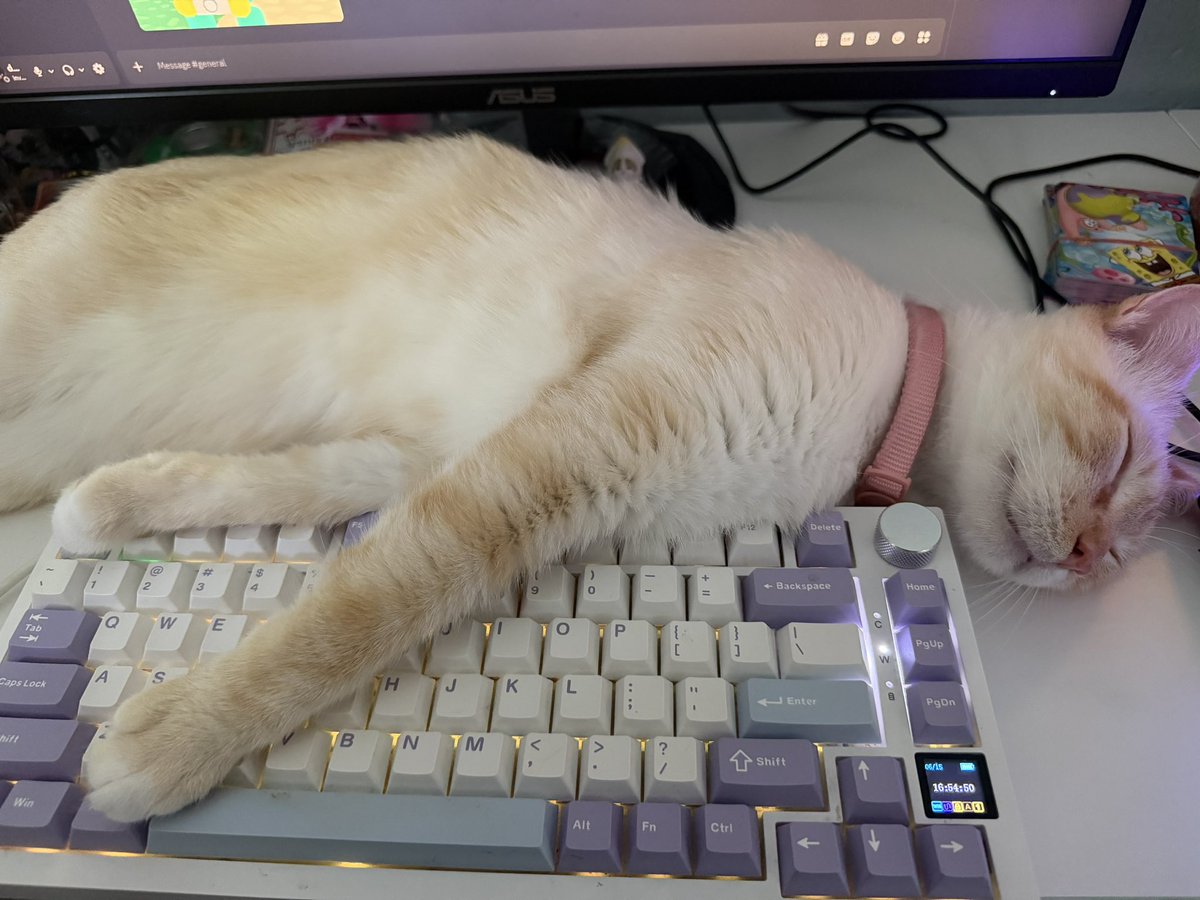 dazeyducks's tweet photo. Tired boy https://t.co/f7MsV8SfIM