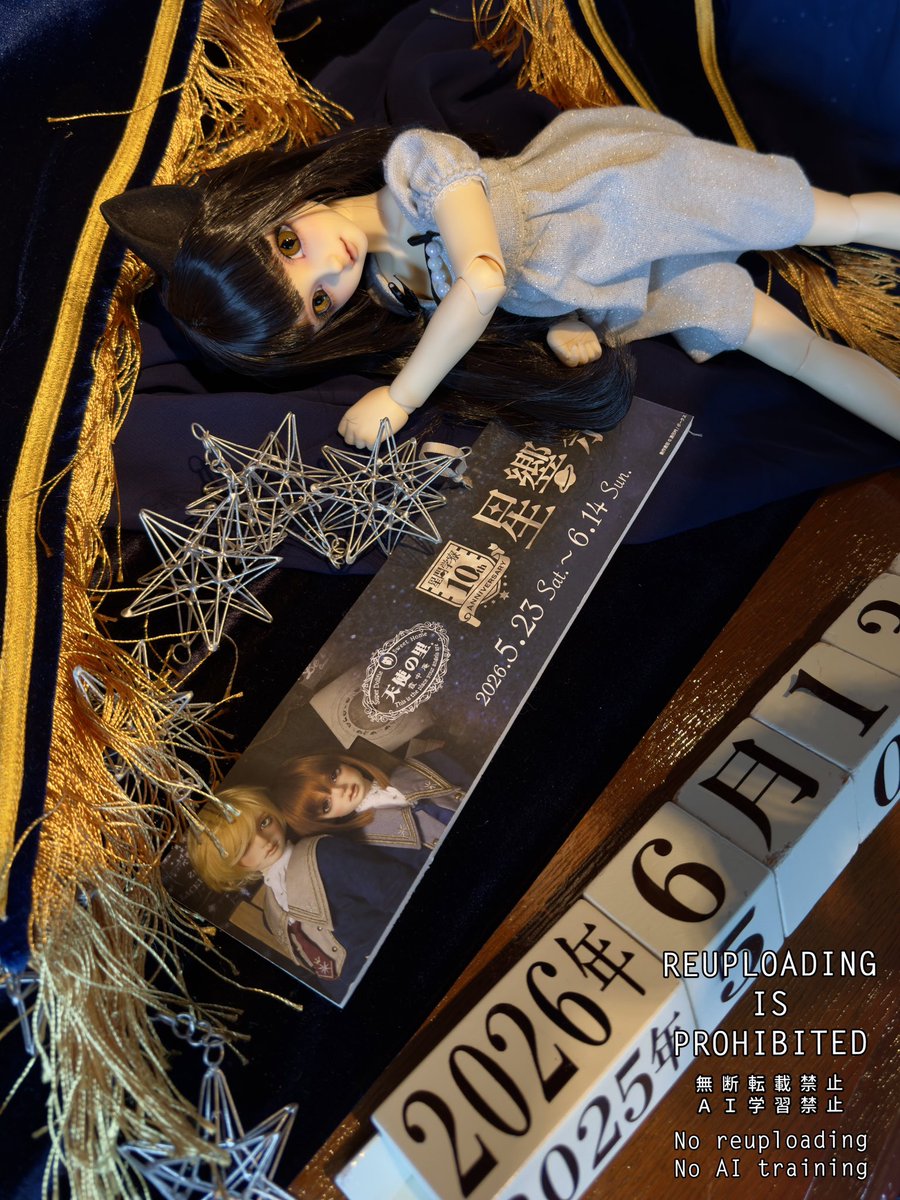 H0RAwdata404not's tweet photo. 我が家から🐱とお友達の🐶が大暴れしにいきました
 #星響祭 お疲れ様でした！ https://t.co/Se1WSoI5ax