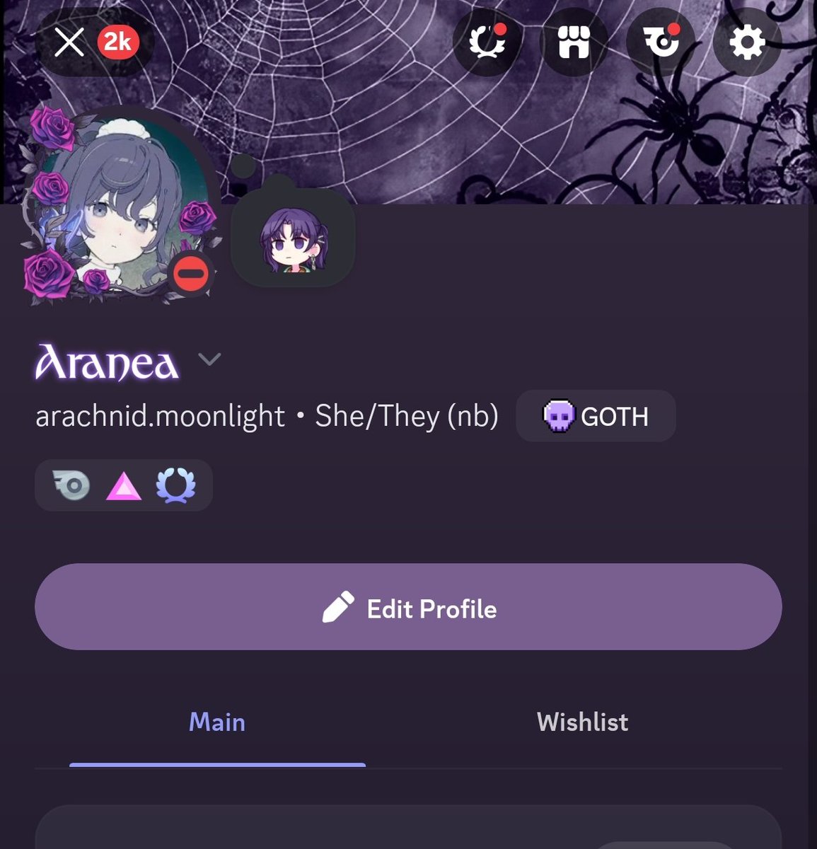 Aranea 🕸️ tweet media