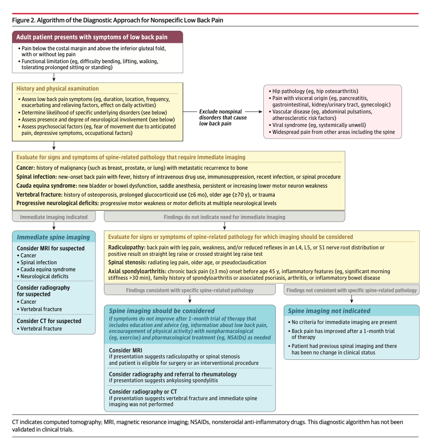 MemodiApp's tweet photo. "Dolor de espalda" o mejor dicho, Lumbalgia, la última revisión en JAMA (2026). 

🟡 La gran mayoría de los casos son inespecíficos. No pidas esa radiografía de rutina. Pero siempre vigila banderas rojas: déficits neurológicos progresivos, sospecha de cáncer, infección o fractura.

🟡 No indiques reposo (en general), mantén las actividades usuales, considera calor superficial, y AINEs +- relajantes musculares. Esteroides no tienen evidencia

🟡 Cuando es crónico, lo primero es: ejercicio, y terapia. Si no: AINEs (con sus consideraciones como lesión renal, úlcera péptica), por el menor tiempo posible, y búsqueda de la etiología.

Descarga en nuestro canal (https://t.co/gRWuSdfXyx).