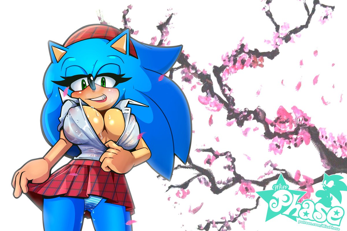 Sonikko the Hedgehog tweet media