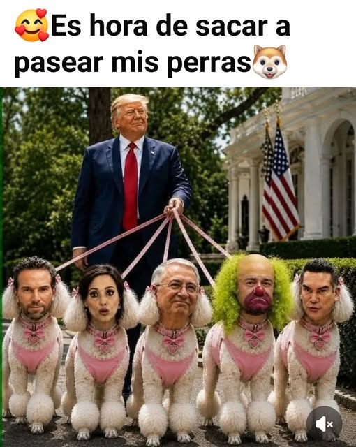 EderJourdan's tweet photo. #LASPERRASDETRUMP 
@RicardoBSalinas @LillyTellez @alitomorenoc @Brozo @CarlosLoret https://t.co/U94w5LtC0R