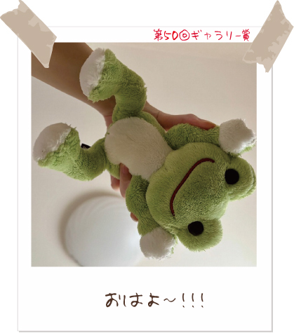 picklesthefrog6's tweet photo. 【Today’s pickles】#かえるのピクルス #picklesthefrog 
#todayspicklesofficial #萌蛙匹克 #泡菜青蛙
https://t.co/FX9JVv3hj6
みんなでピクルスの写真を投稿しよう♪
応募期間：2026年4月01日〜2026年09月30日
結果発表：2026年11月上旬 https://t.co/4DT3CIdjLF