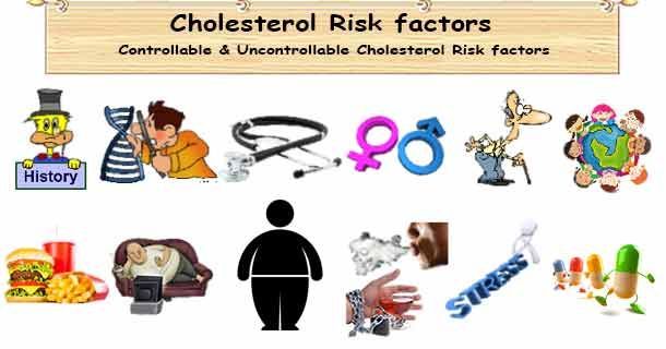 healthyojas's tweet photo. High Cholesterol Risk Factors https://t.co/XwQXsTm5Hj #HighCholesterol #RiskFactors #Cholesterol #Hyperlipidemia #Hypercholesterolemia https://t.co/N9eiOtVZ9t