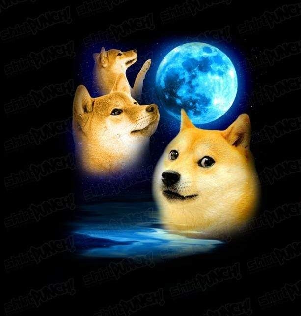 dogecoinsteve's tweet photo. Dogecoin To The Moon.🌕 $DOGE https://t.co/EJi0g7Tcg0