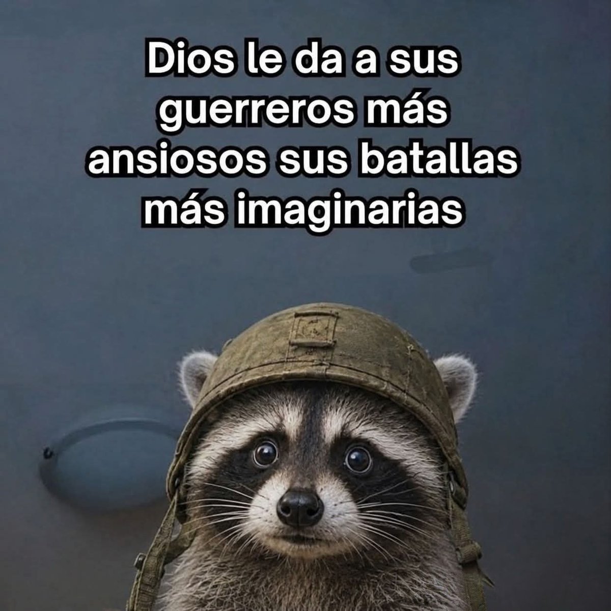 FraseSimple's tweet photo. https://t.co/pjWblBth1m