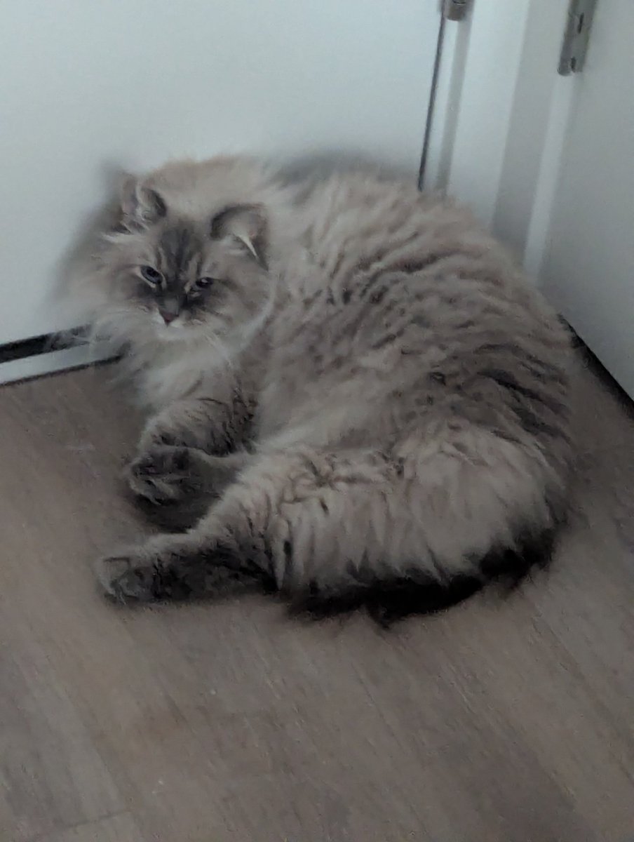 proofingtoast's tweet photo. https://t.co/tN2RKVIbLf