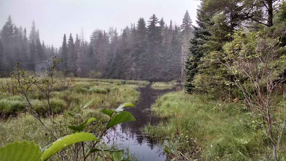 shagbark_hick's tweet photo. I love life.

I thank God I never succeeded in killing myself because I had NO IDEA how much better life would get. 

Had no clue I might someday have a beautiful wife and a happy baby bumbling around with me here in the North Country...

Never kill yourselves, folks. https://t.co/Ha6JyOL3As