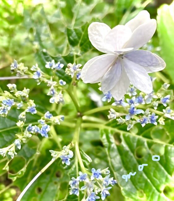 MAO090140507's tweet photo. 君のため ・・・ は
私のため ・・・ に 。
私のため ・・・ は
君のため ・・・ に 。
優しさは
巡り   巡る https://t.co/Td6p8uksZO