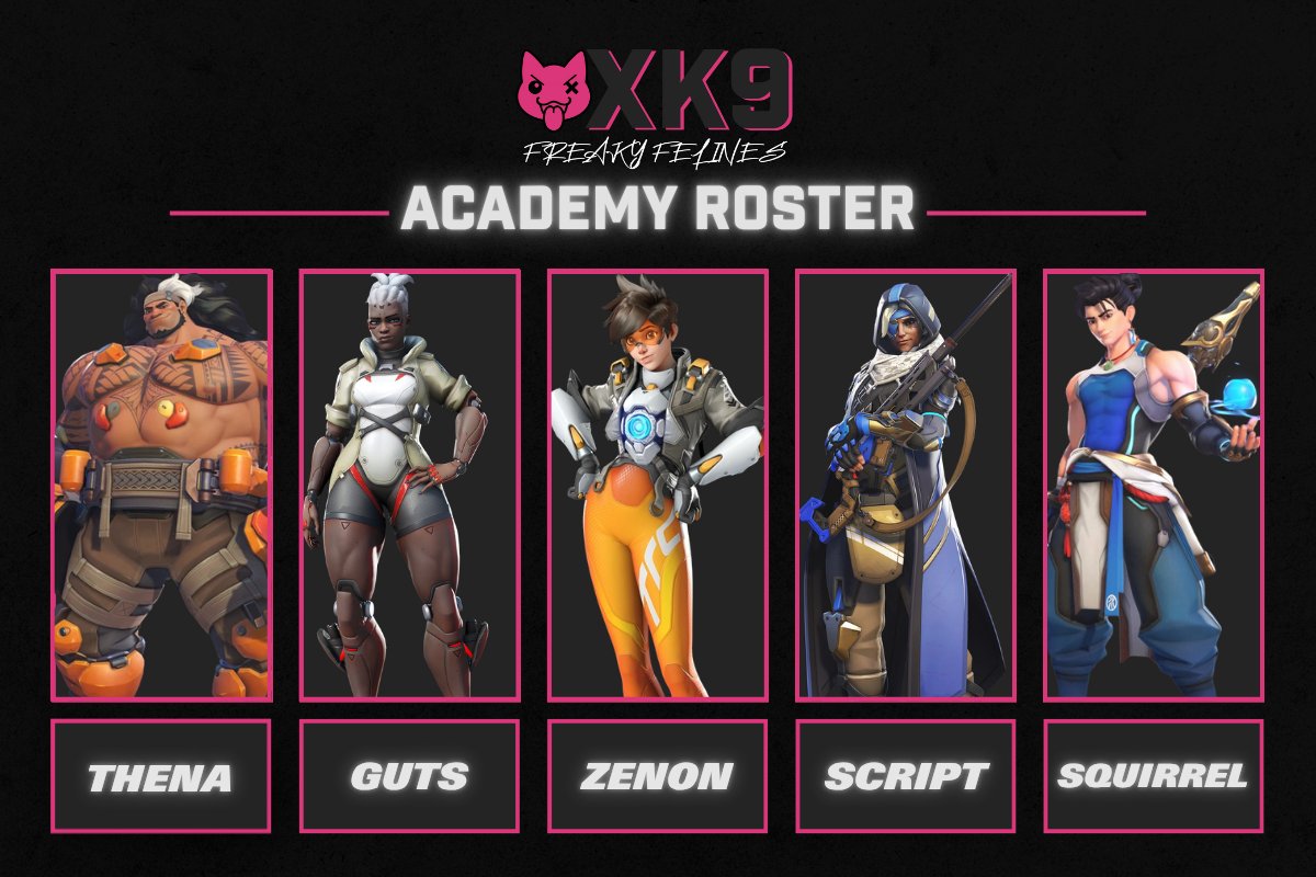crosscanines's tweet photo. Secondly we now have an Academy roster.
Please join me in welcoming The Freaky Felines.
We have
@thena_ow On tank
@AbsoluteScript On flex sup
@Squirrels_Clips On main sup
Guts On hdps
Zenon on Fdps.
These lovely people will be competing in the open division. Best of luck to them! https://t.co/o5WCJ9ofhh