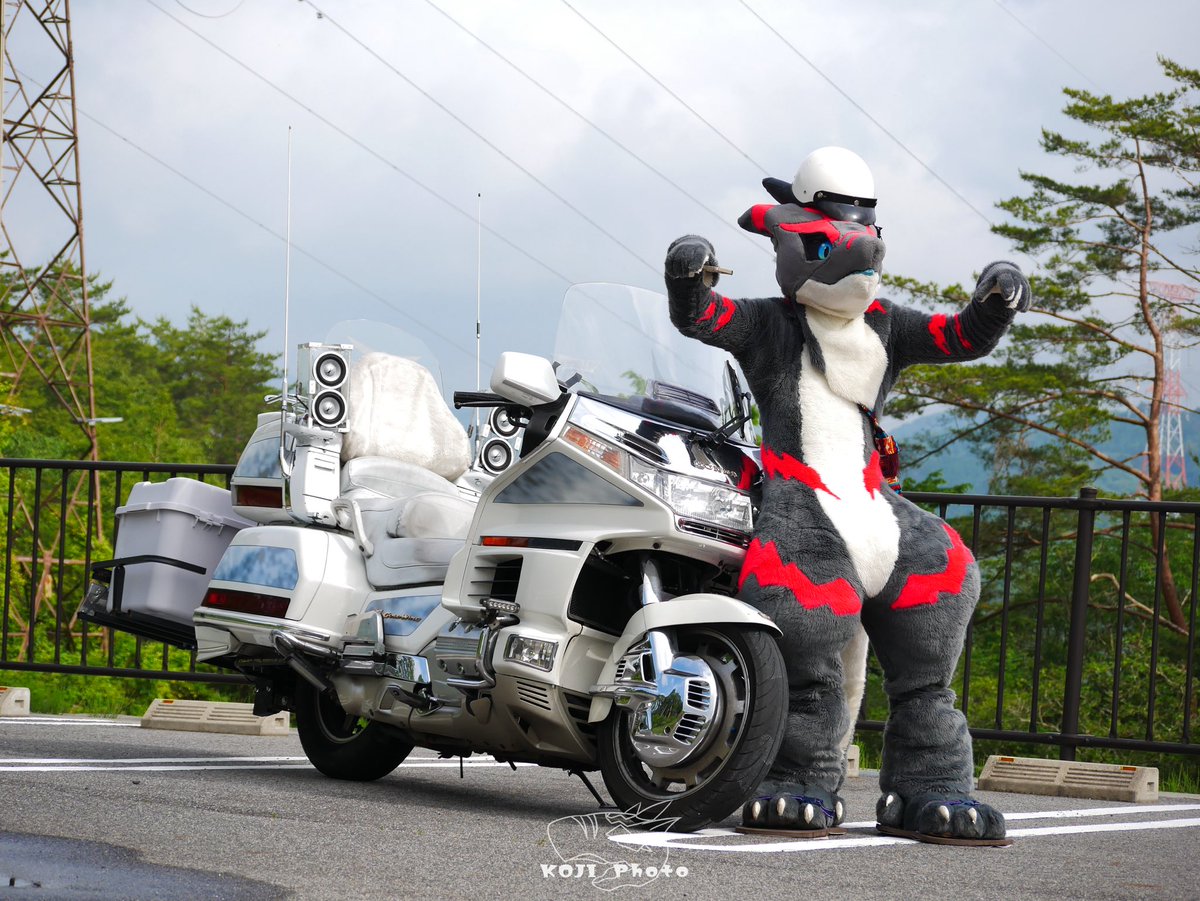 kojirasesandayo's tweet photo. #旭高原オフ3
#GL1500 https://t.co/ZQVS1yIyAG