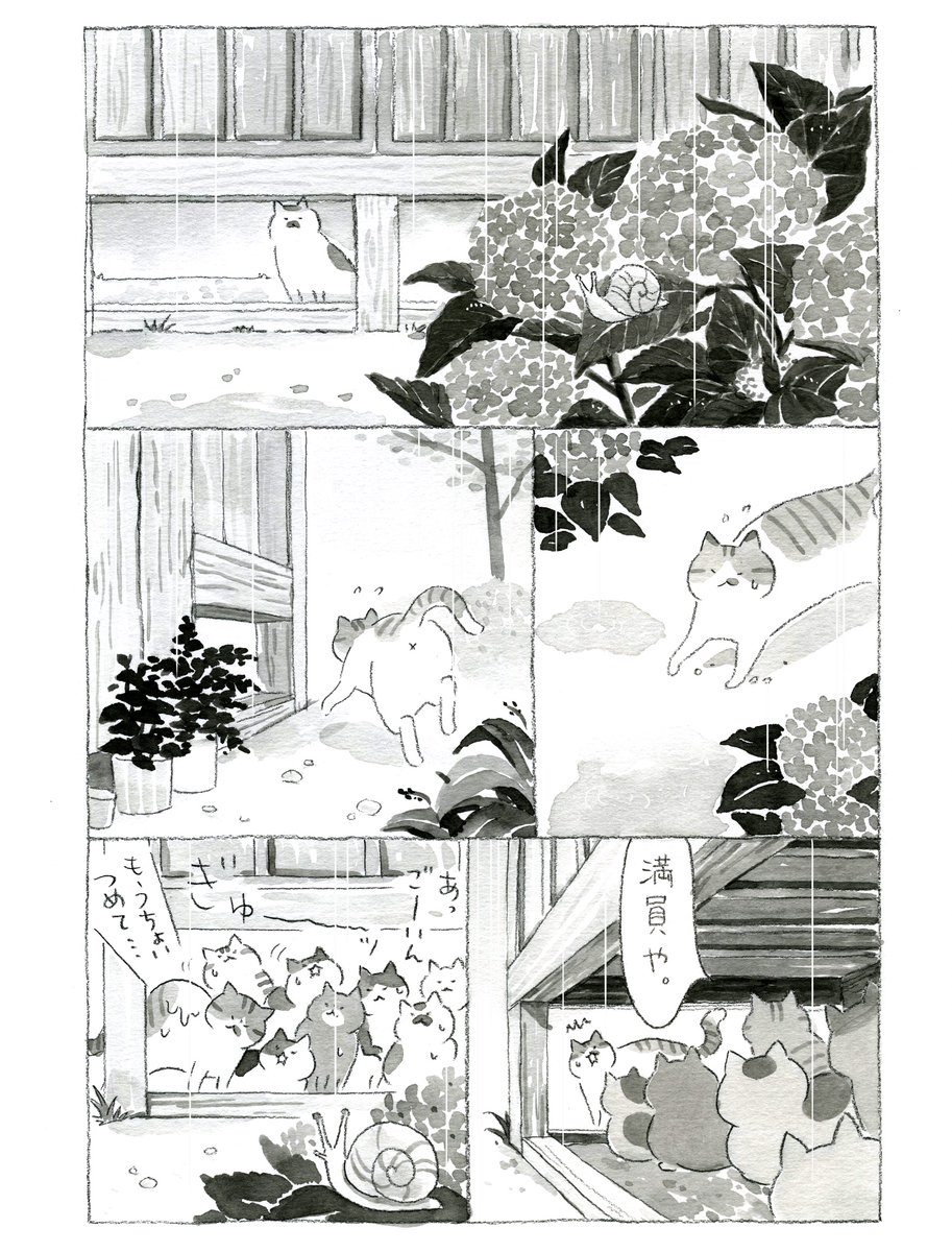 ねこまき倉庫 tweet media
