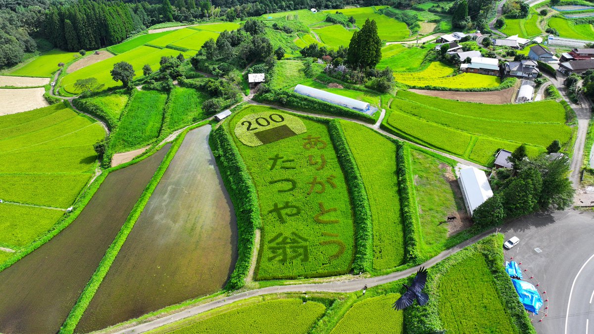 毎年開催されている #高千穂町 中川登集落の #田んぼアート 、今年で16