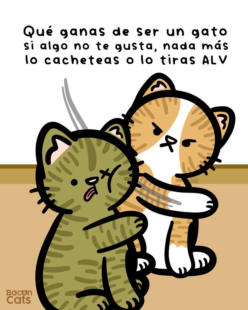 Baconcatsmx's tweet photo. Qué ganas de ser un michi 😅🐱 https://t.co/5YrasUg7sw