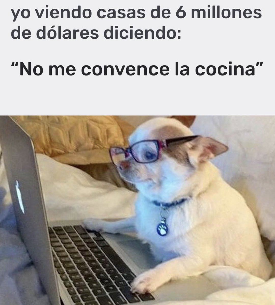 FraseSimple's tweet photo. https://t.co/0GxoSOnNPz