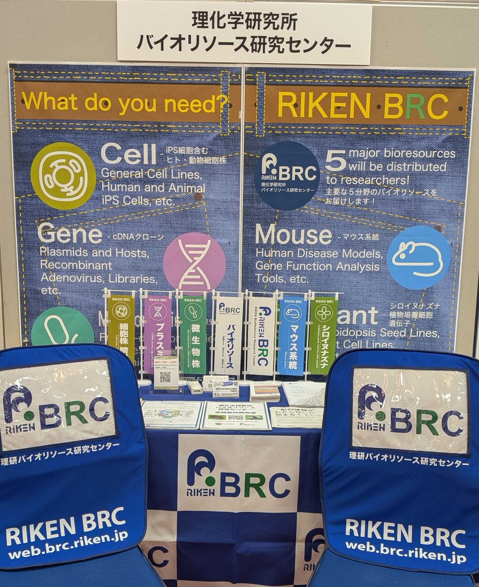 理研バイオリソース研究センター（BRC） (@RIKEN_BRC_jp) / Posts / X