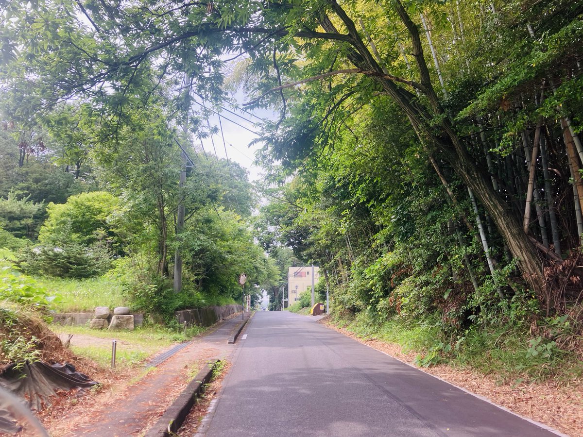 SakuraEats's tweet photo. 心地よい😌 https://t.co/Z4arrCZeSB