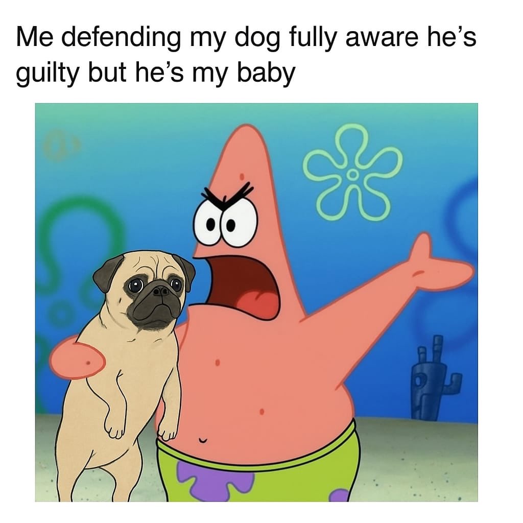 Foreverpuglove tweet media
