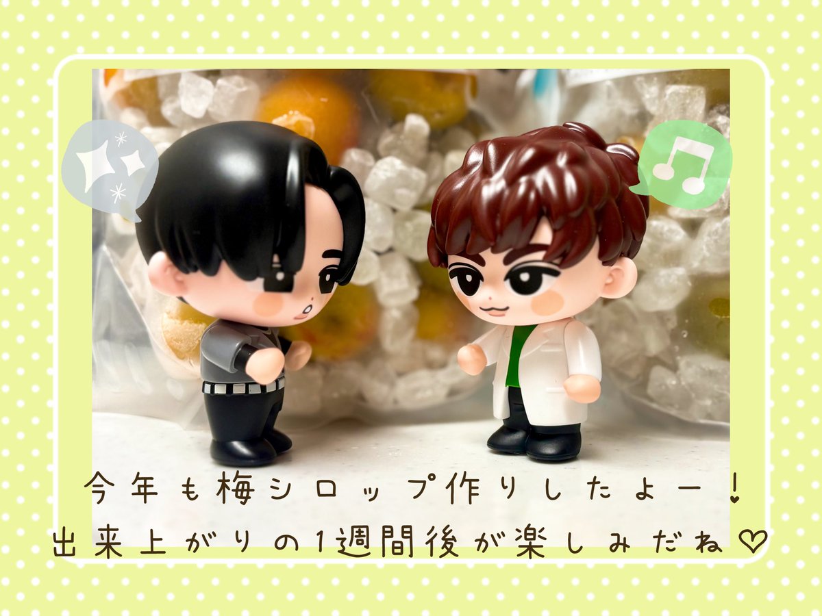 with_duffy's tweet photo. 冷凍庫の中で梅を暫く放置していた…
やっと氷砂糖が買えたから梅シロップを作ってみたよ！

今年も鎌倉の「蝶矢」さんで梅体験したいなぁ https://t.co/XHALchHHlp