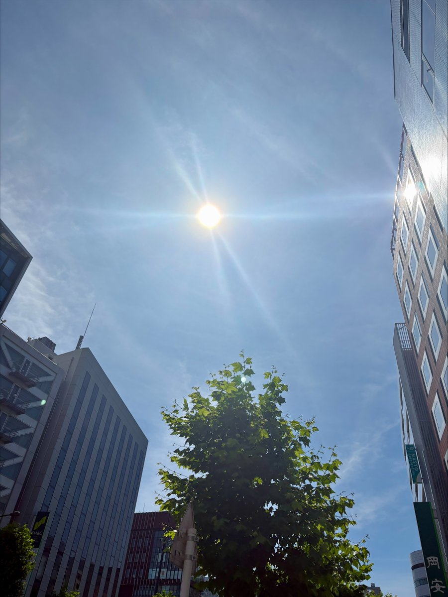 cocokarach's tweet photo. 暑い・・・！
少し外を歩いただけなのに、じんわり汗ばみます💦

水分補給と、胃腸を冷やしすぎない工夫を忘れずに過ごしたいですね🐼
＃都内の空　＃水分補給　＃季節の養生 https://t.co/k2z1T5UnFV