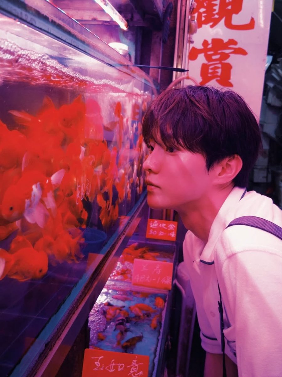 juyQmi's tweet photo. we love u qfeed! https://t.co/5FmZKxgL9L