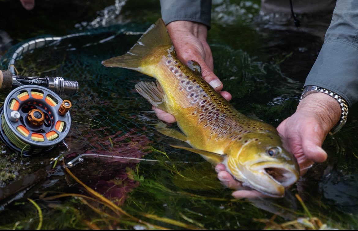 FRCcrew's tweet photo. Fishing the chalk streams of England with our good friend William Daniel is definitely a bucket list trip!

#Teamtoothman #HarmansCabins #WVDNR #YetiCoolers  #ColomboLaw #fishpondusa #flyfishing #fishing #travel #mountains #explore #lifeonthefly #frc #flyrodchronicles https://t.co/v2jOuveret