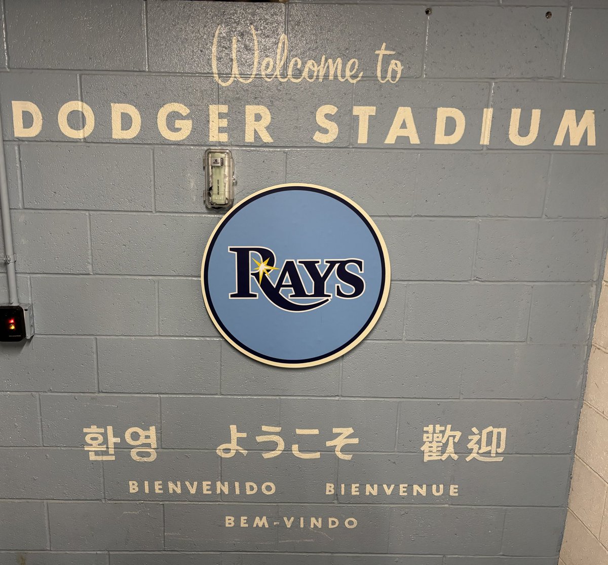 Andrew Freed tweet media
