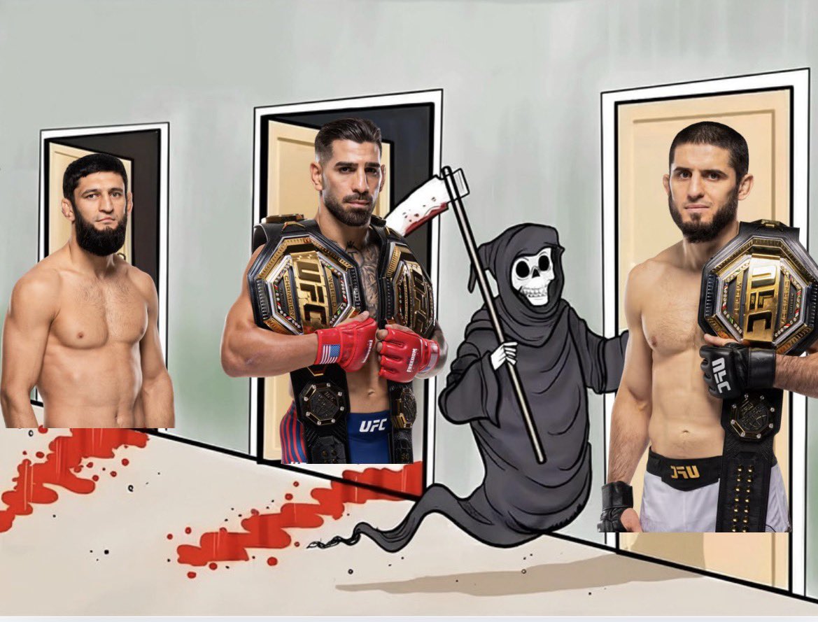 Finz Chats MMA tweet media