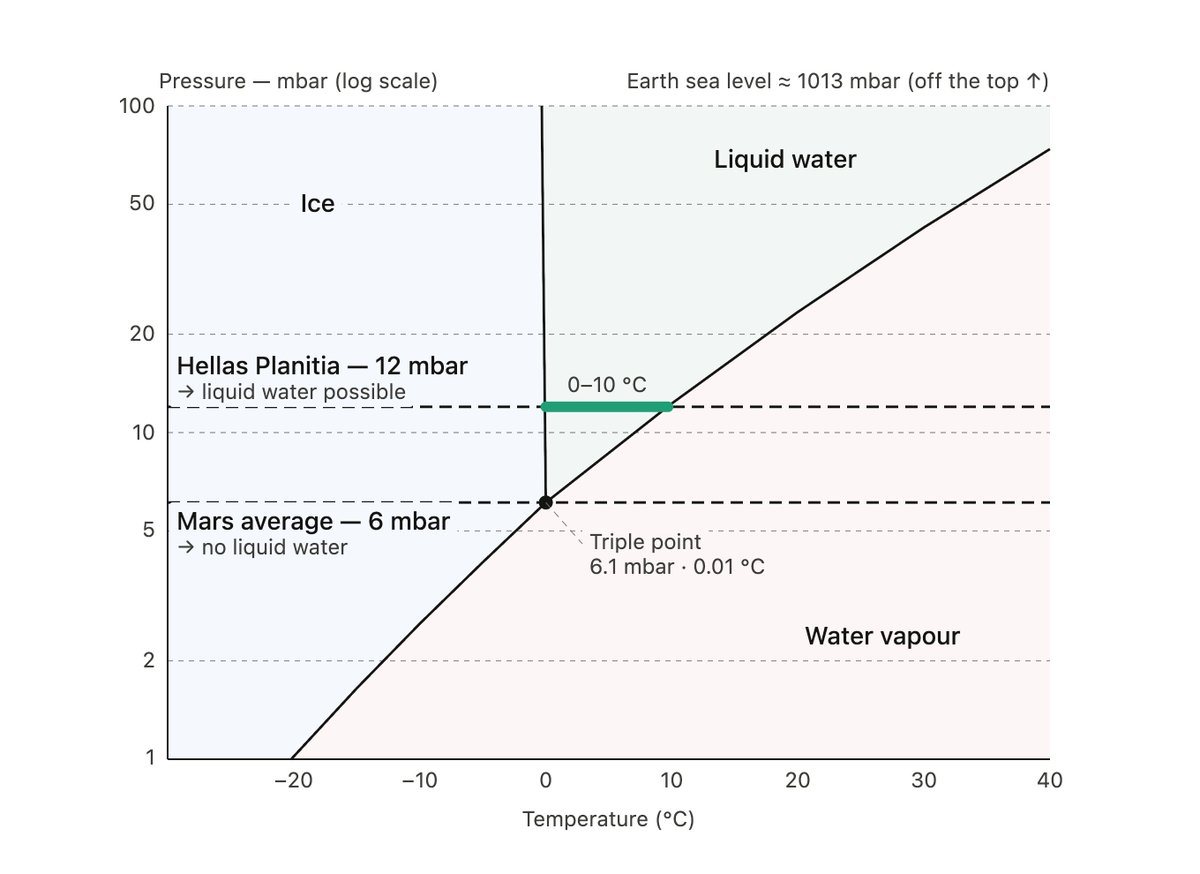 i194wisp's tweet photo. And it will be a huge garden

The atmospheric pressure there is around 12 mbar. It's almost nothing compared to the Earth's, but on Mars it's the highest you can get in "open air". And it is just enough for the first plants and other organisms to begin their colonial journey. https://t.co/uvzJQf3e6w