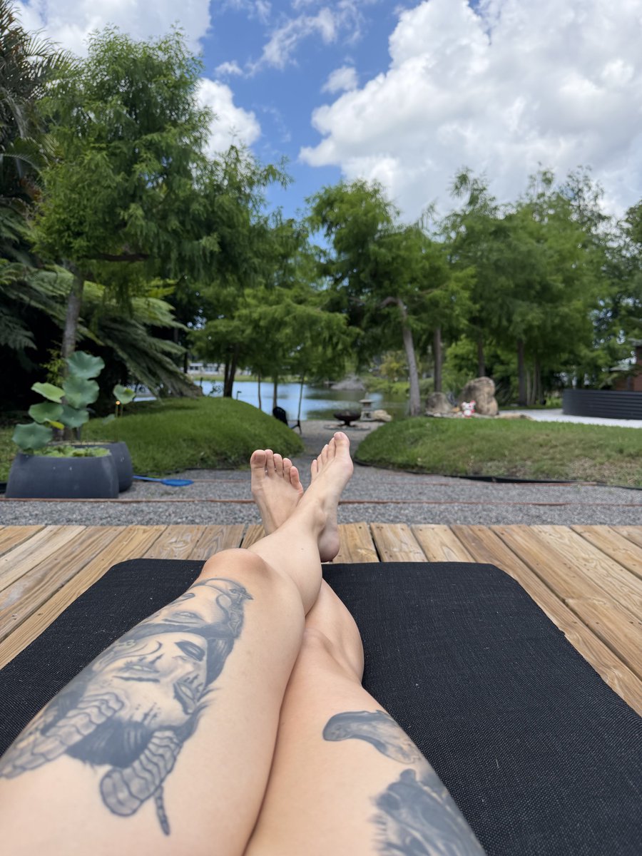 skylarcalico's tweet photo. New space, new mindset, new setup. I’m excited to get back to live-streaming on Saturday, then shooting next week with my favorite camera girl. I’ve got a few things to edit in the meantime, but I’m excited to get back into it! https://t.co/f8NkzmW6Z7