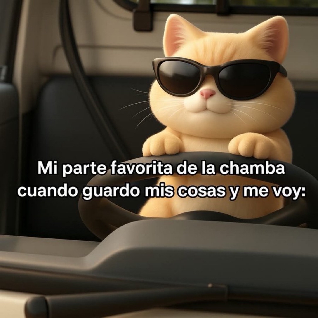 Guarromantico_'s tweet photo. La mejor parte. https://t.co/pHGM3ybICn