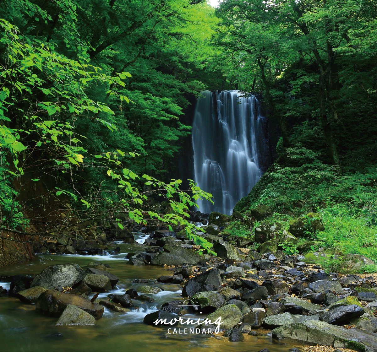 543life's tweet photo. 滝（たき）｜朝の日めくり

"大小を問わず滝は夏の季語。冬季に凍るのは凍て滝。"

▼暦生活｜日本の季節を楽しむ暮らし｜365日、毎日暦のお話をお届けします♪
https://t.co/hv9NlcR52U https://t.co/wtn6Yg7bi0