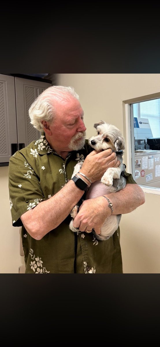 foreverpaws's tweet photo. Yoshi has been adopted!
#animalshelter #animalshelters #fpas #rescuelife #rescuedogs #rescuedog #shelterdog #shelterdogs #animalrescue #rescue #dogsofinsta #foreverpawsfamily #community #adopt #familypetsaresuperheros #dogsofinstagram https://t.co/xvhRi9wwX1