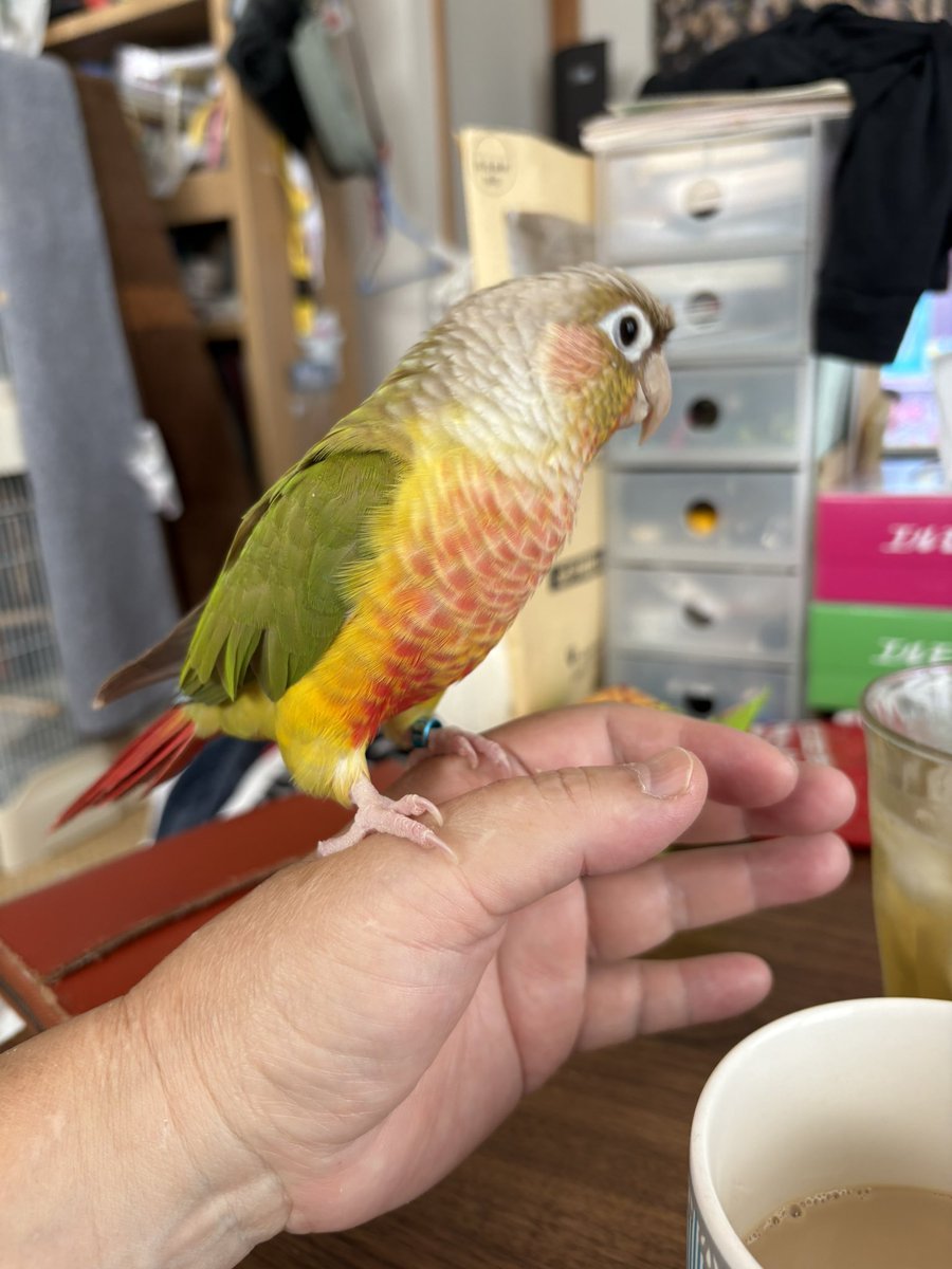 あっちゃん